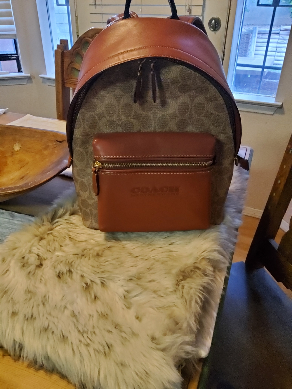 Coach Charter Backpack C8847 Beyond EUC